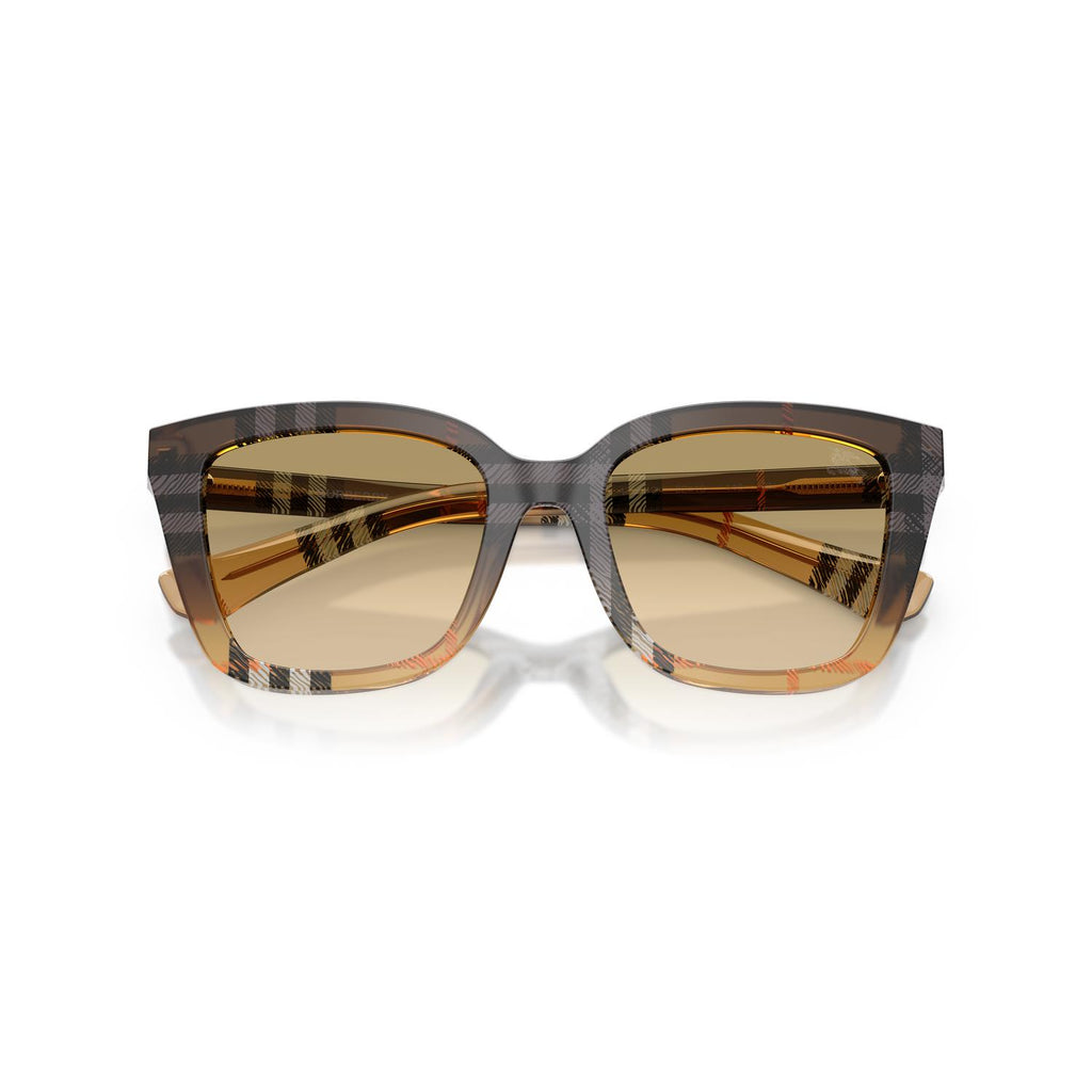 SUNGLASSES BURBERRY MODEL 4487 COLOR 420213 CLOSED VIEW