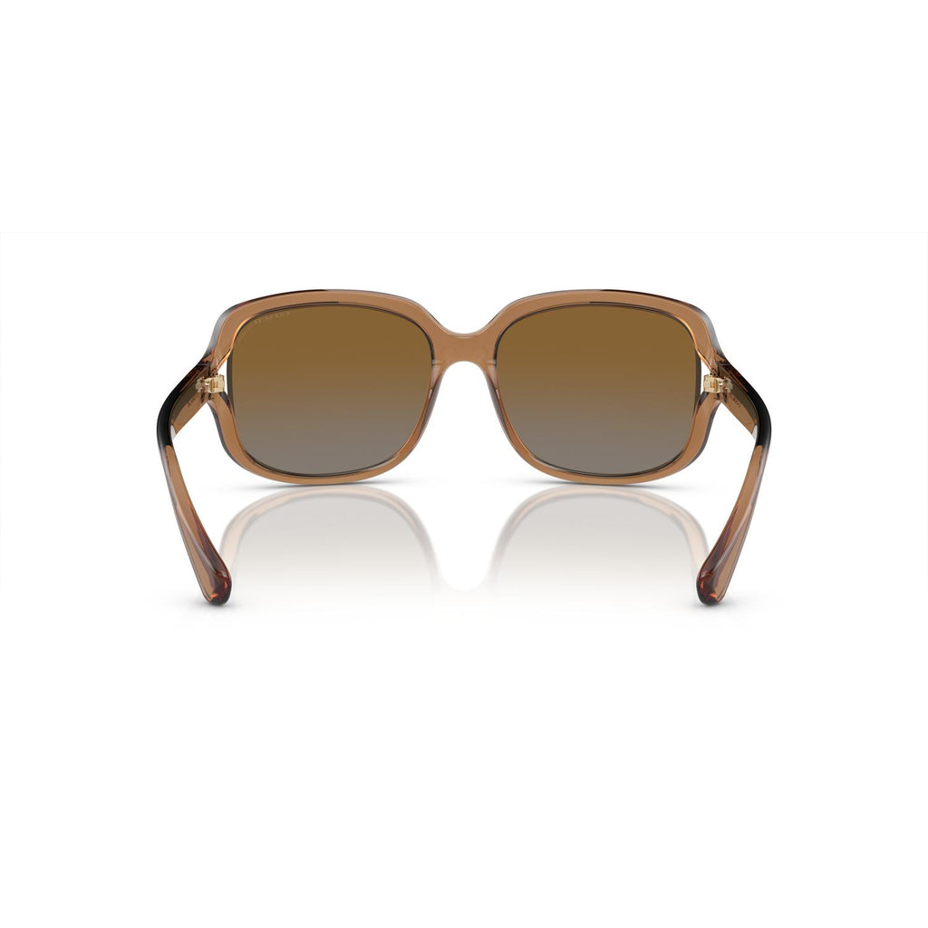 SUNGLASSES COACH MODEL 8169 COLOR 5561T5 BACK VIEW