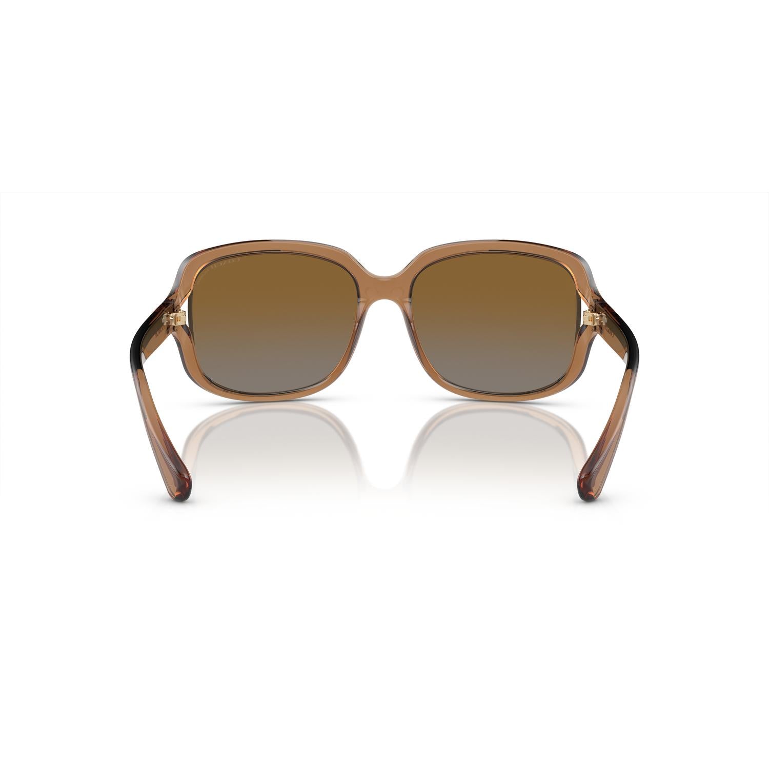 SUNGLASSES COACH MODEL 8169 COLOR 5561T5 BACK VIEW