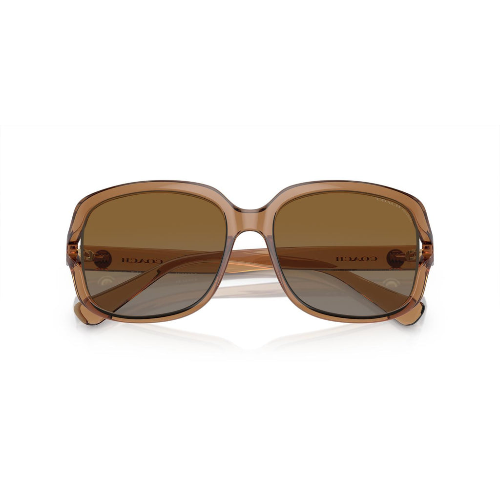 SUNGLASSES COACH MODEL 8169 COLOR 5561T5 CLOSED VIEW