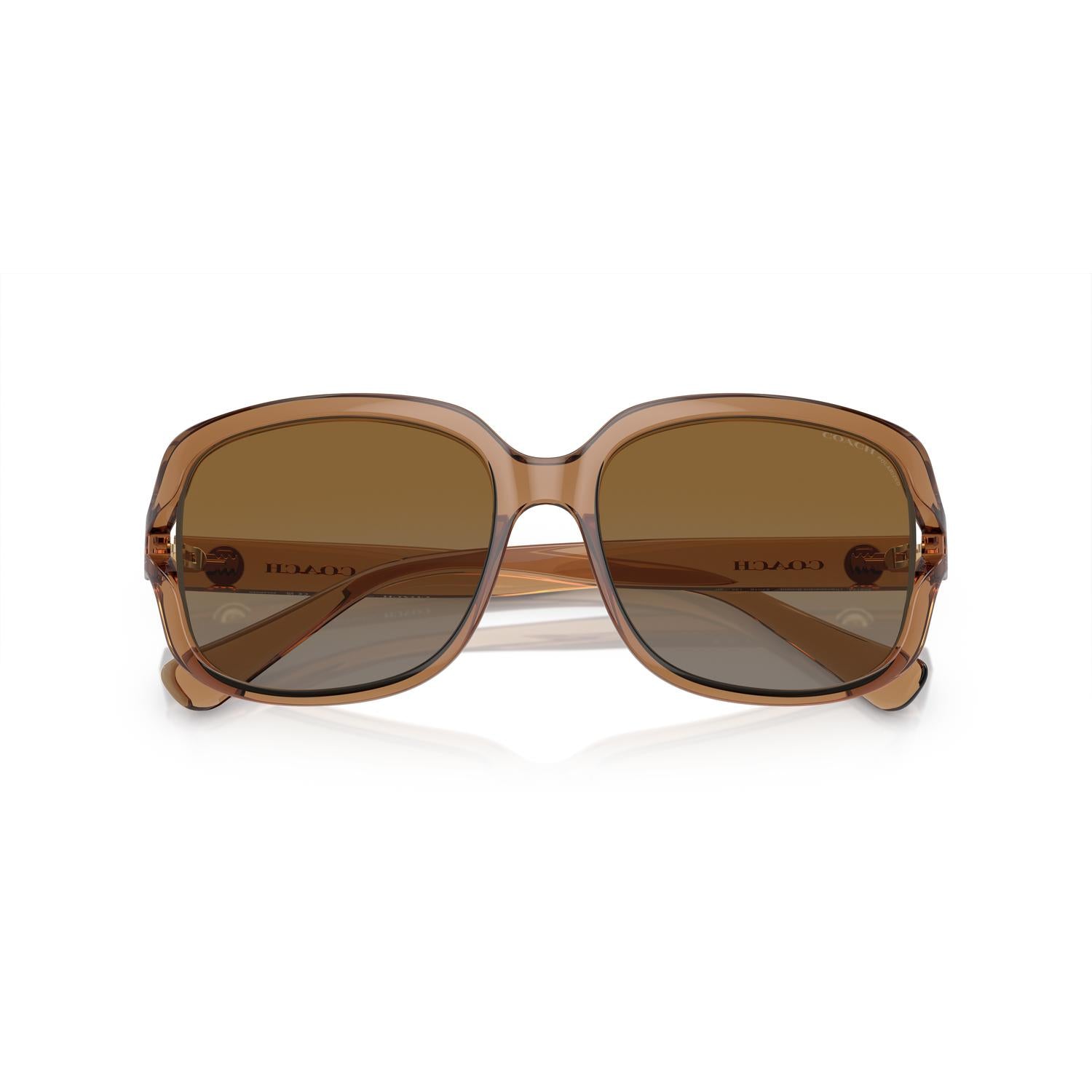 SUNGLASSES COACH MODEL 8169 COLOR 5561T5 CLOSED VIEW