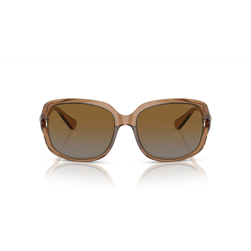 SUNGLASSES COACH MODEL 8169 COLOR 5561T5 FRONT VIEW