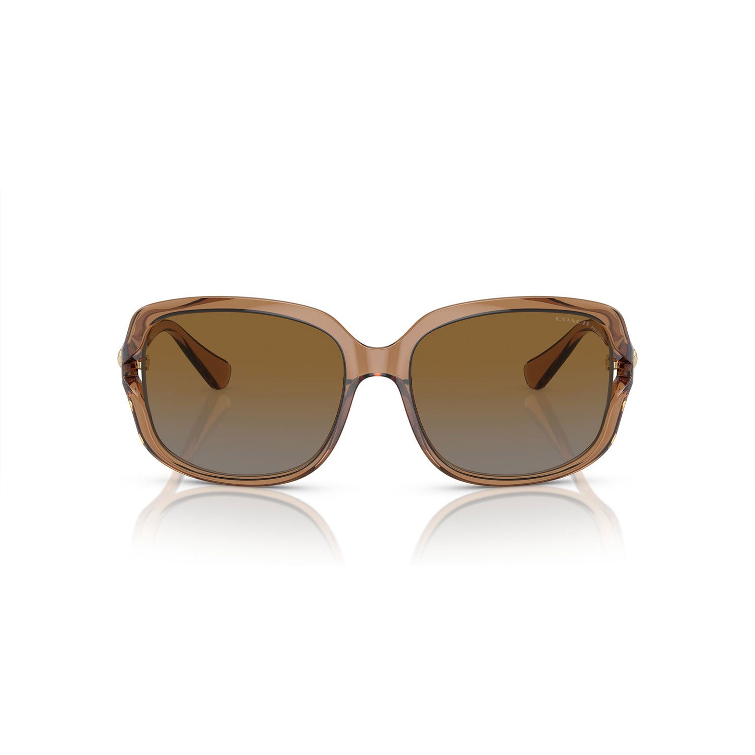 SUNGLASSES COACH MODEL 8169 COLOR 5561T5 FRONT VIEW
