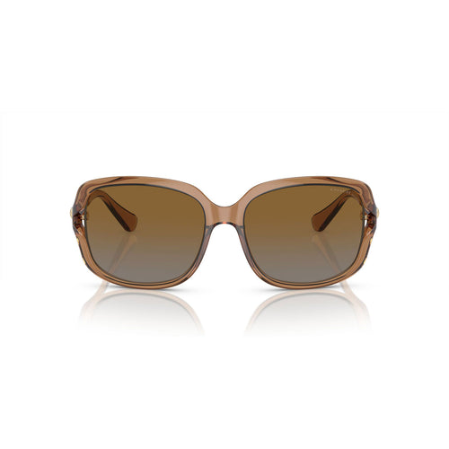 SUNGLASSES COACH MODEL 8169 COLOR 5561T5 FRONT VIEW