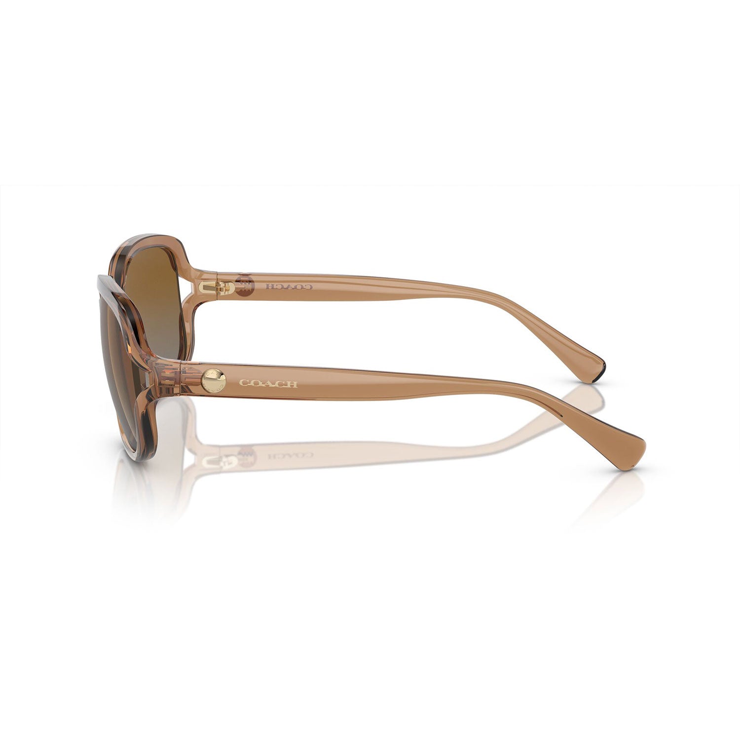 SUNGLASSES COACH MODEL 8169 COLOR 5561T5 SIDE VIEW