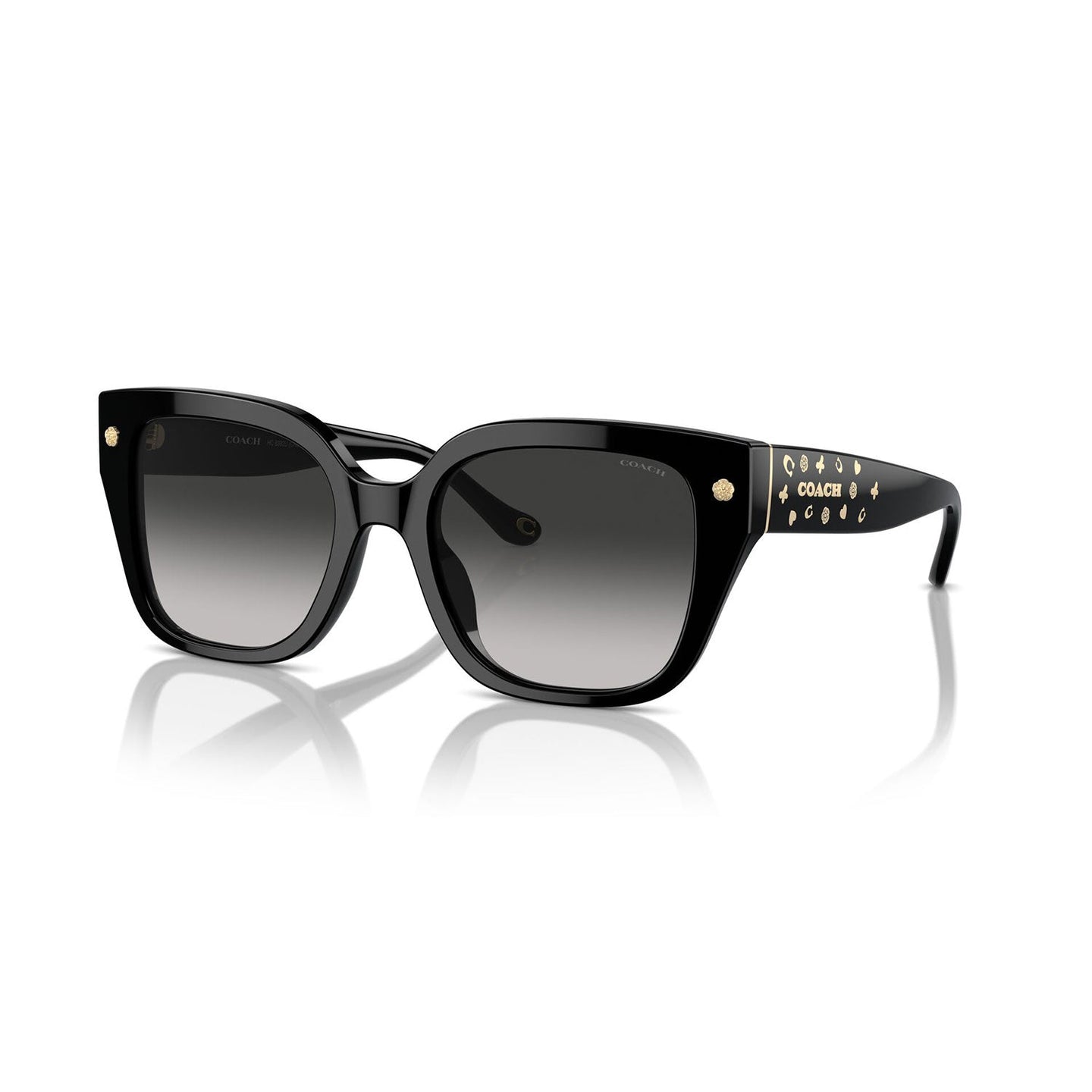 SUNGLASSES COACH MODEL 8392U COLOR 50023C