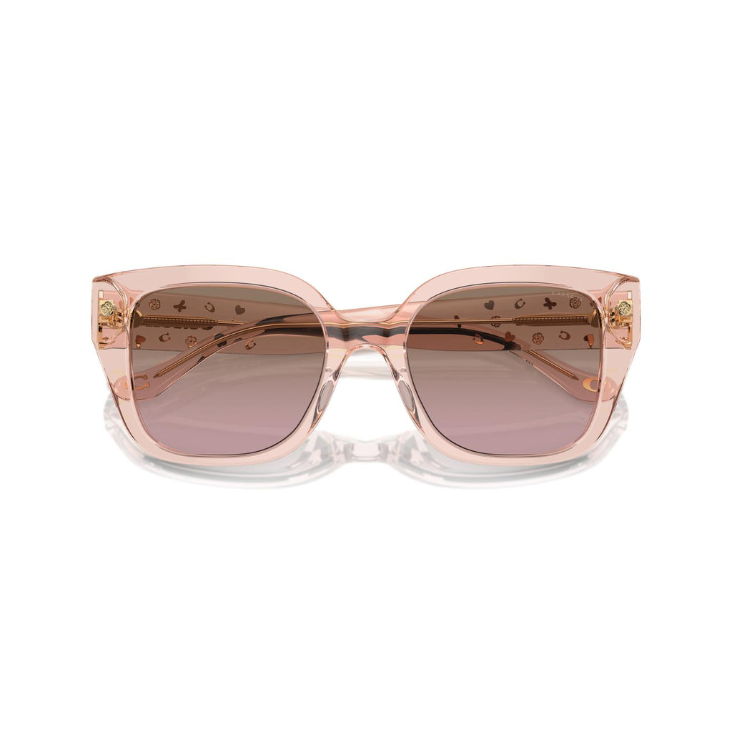 SUNGLASSES COACH MODEL 8392U COLOR 566814 CLOSED VIEW