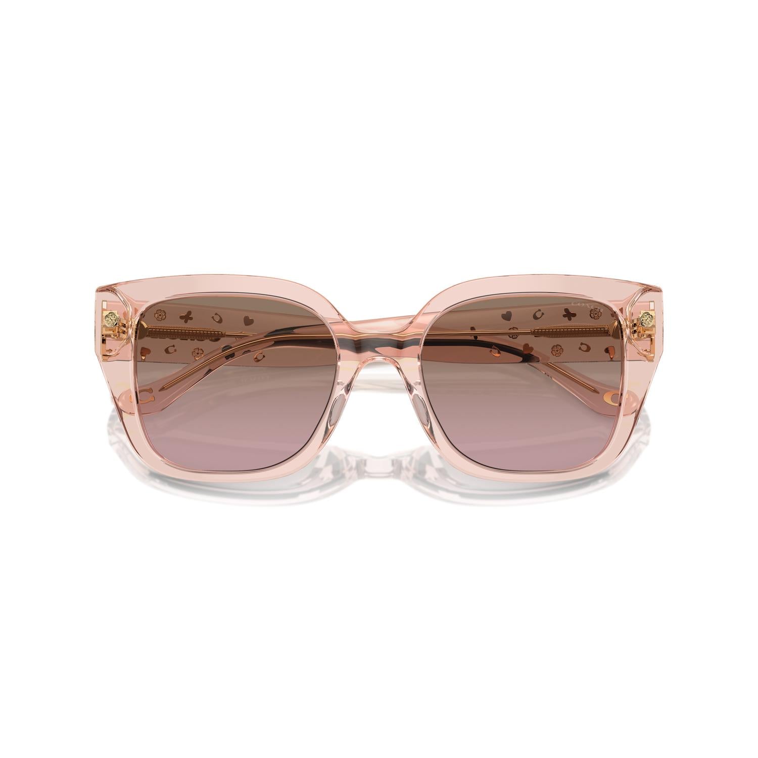 SUNGLASSES COACH MODEL 8392U COLOR 566814 CLOSED VIEW