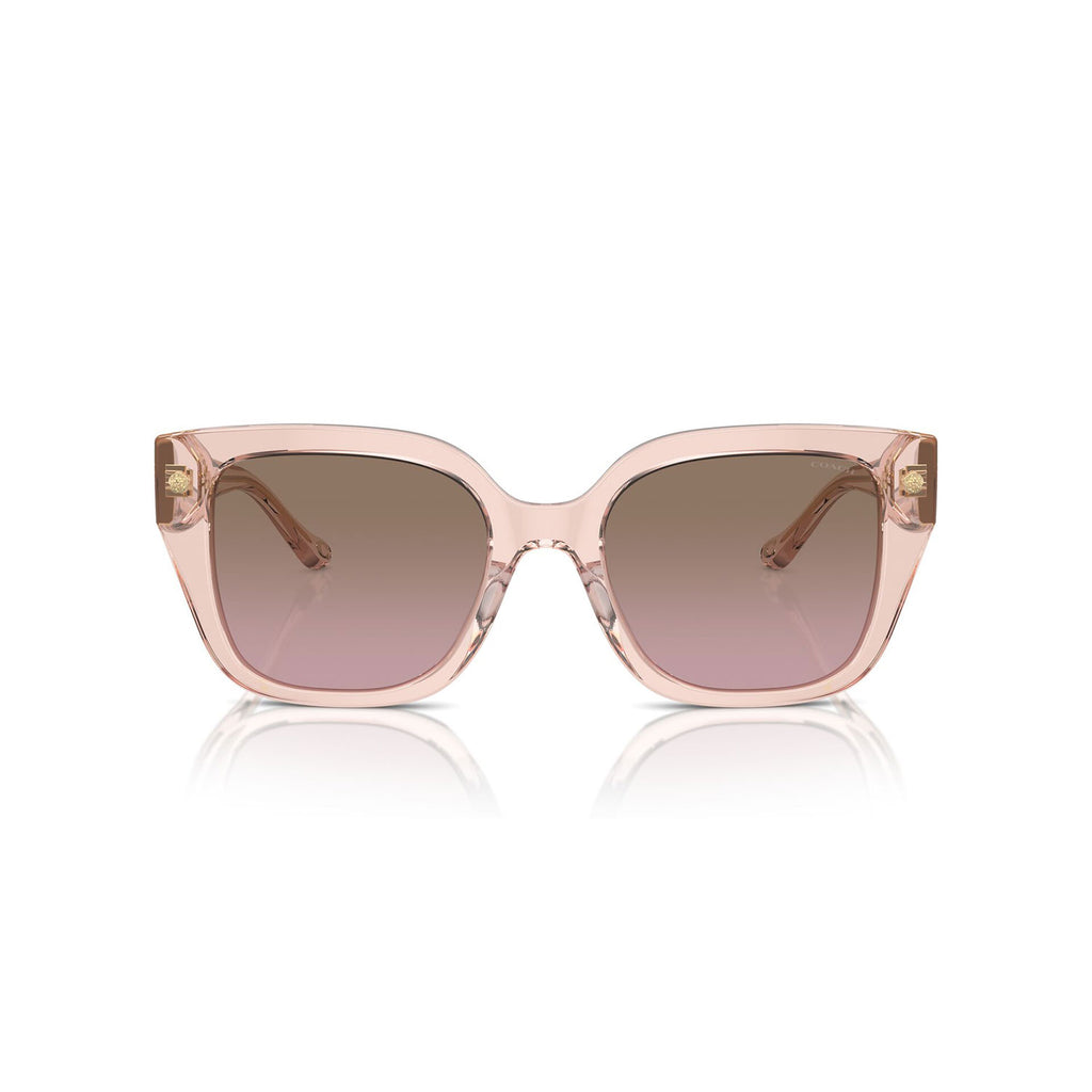 SUNGLASSES COACH MODEL 8392U COLOR 566814 FRONT VIEW