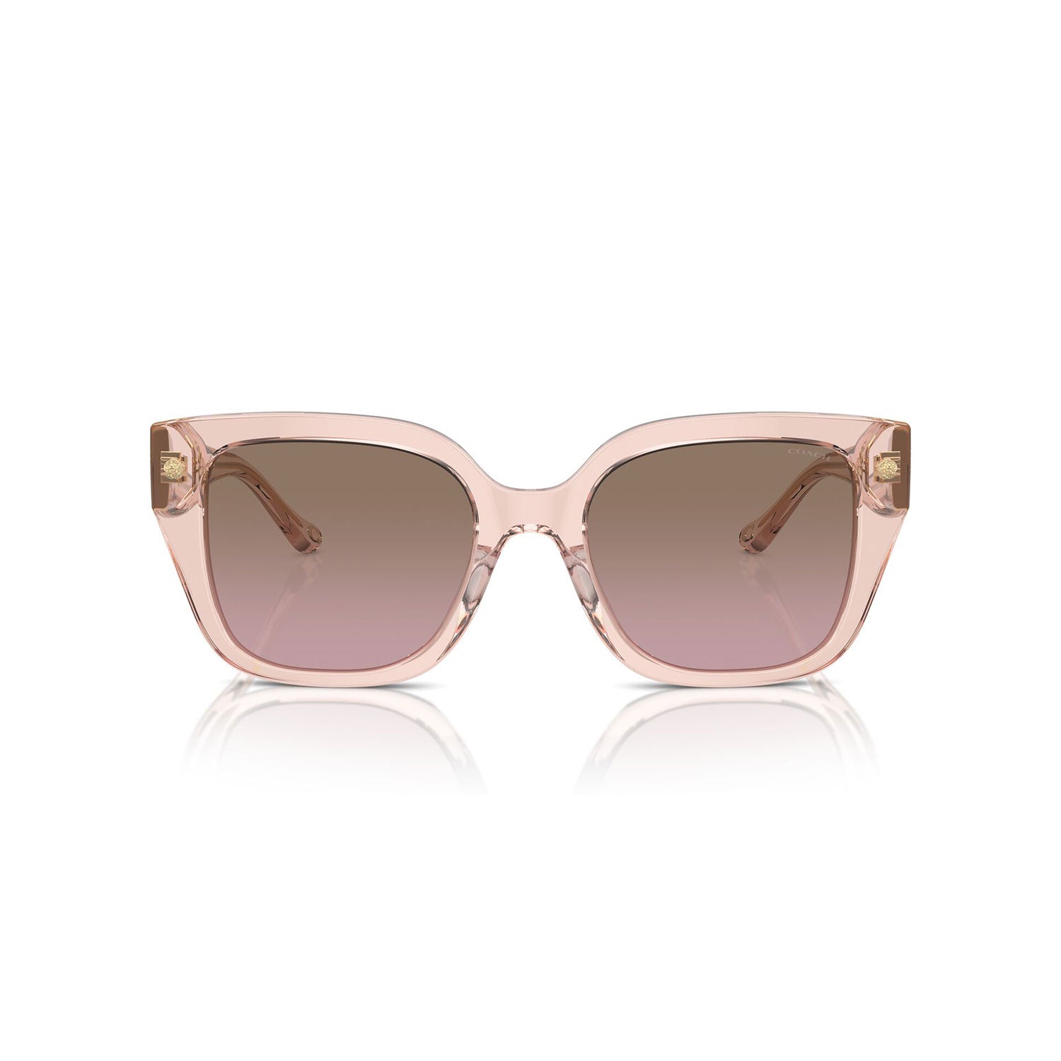 SUNGLASSES COACH MODEL 8392U COLOR 566814 FRONT VIEW