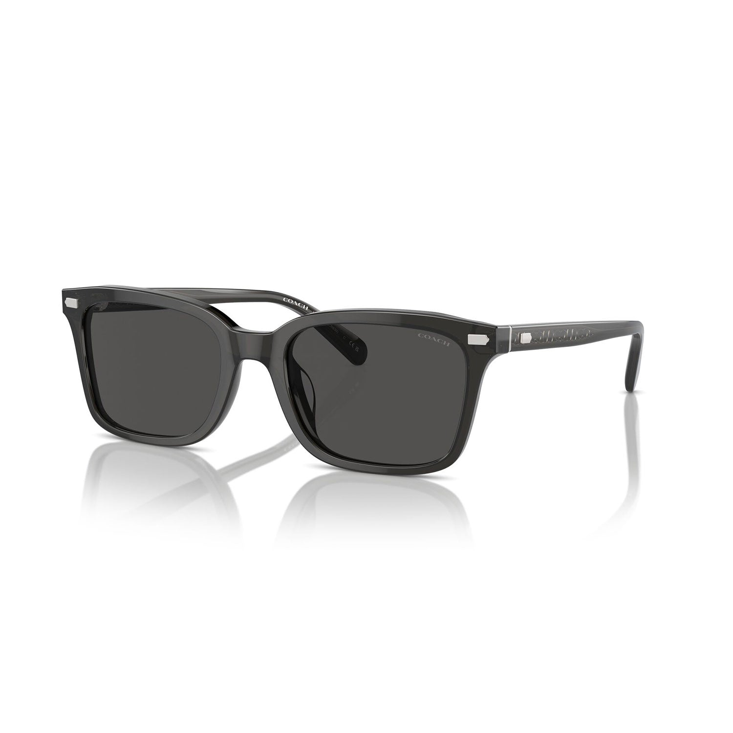 SUNGLASSES COACH MODEL 8398U COLOR 581787 ANGLED VIEW