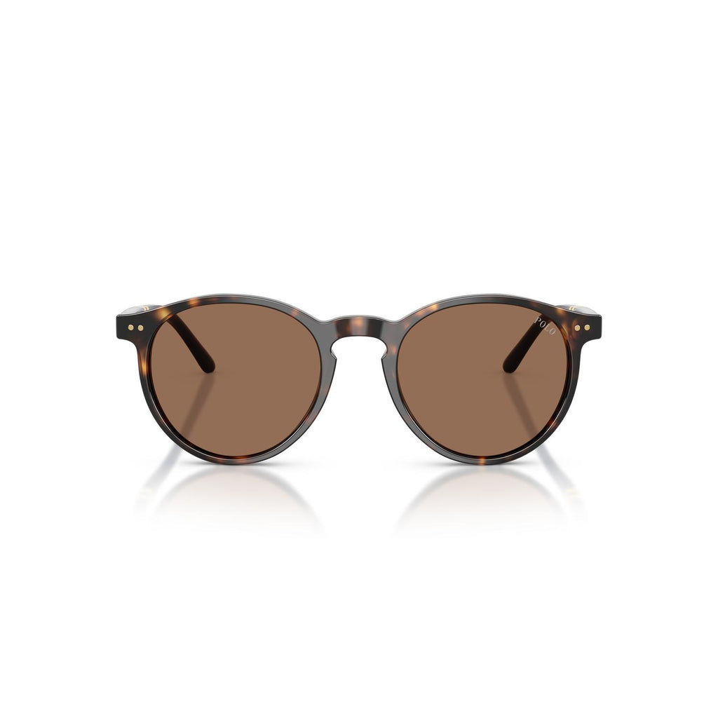 SUNGLASSES POLO RALPH LAUREN MODEL 4236 COLOR 500373 FRONT VIEW