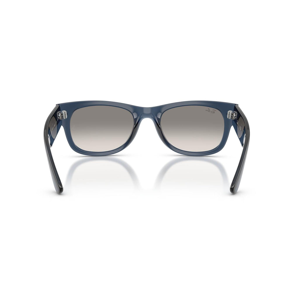 SUNGLASSES RAY-BAN MODEL 0832S COLOR 684532 BACK VIEW