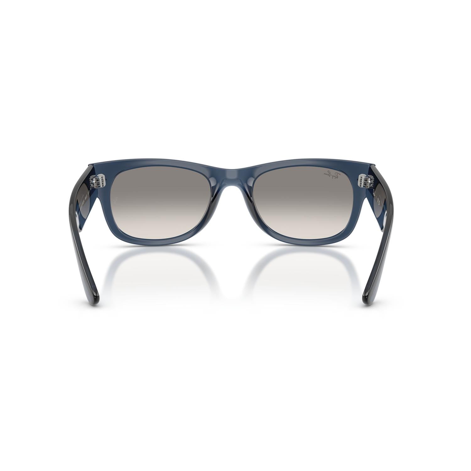 SUNGLASSES RAY-BAN MODEL 0832S COLOR 684532 BACK VIEW
