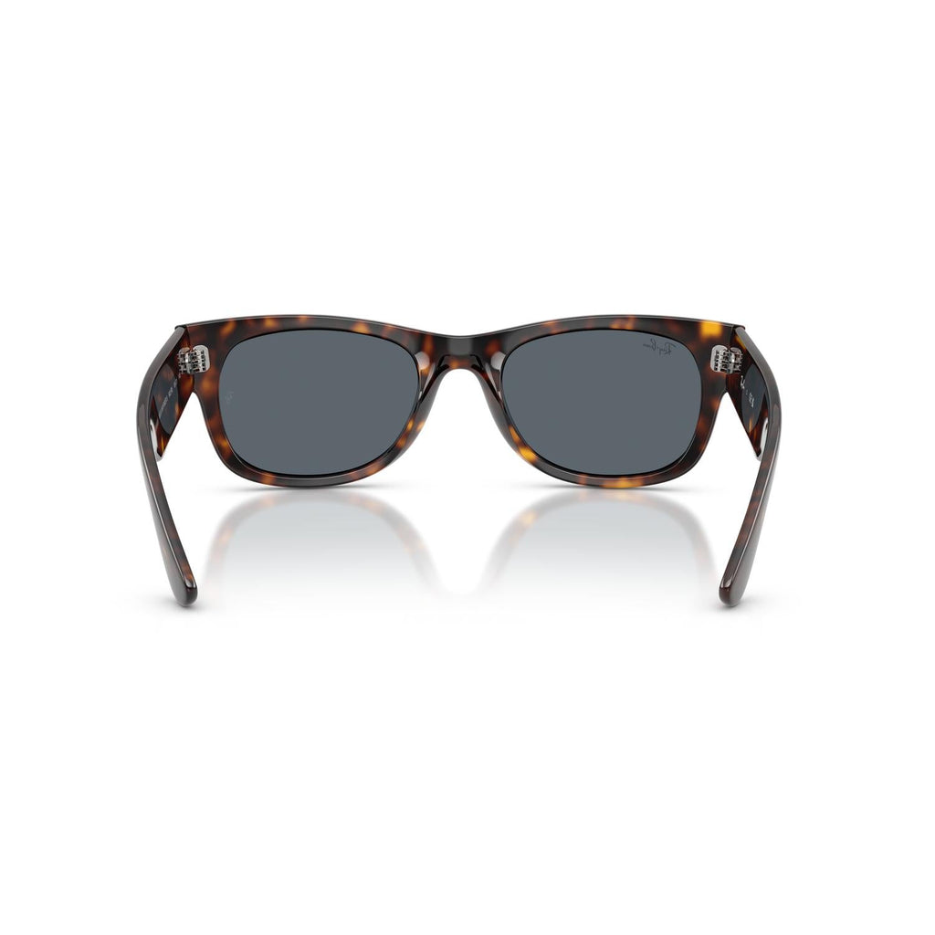 SUNGLASSES RAY-BAN MODEL 0832S COLOR 902/R5 BACK VIEW