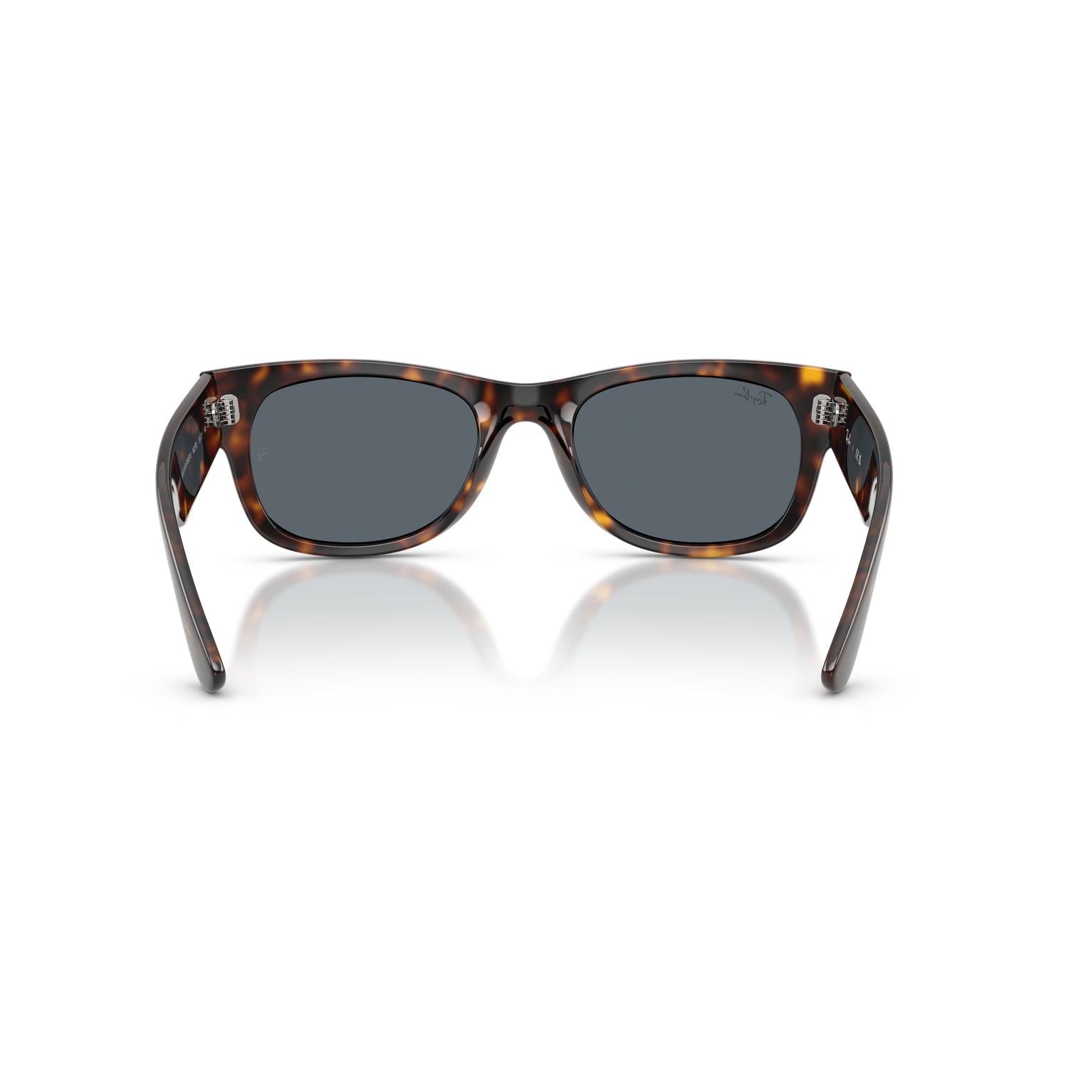 SUNGLASSES RAY-BAN MODEL 0832S COLOR 902/R5 BACK VIEW
