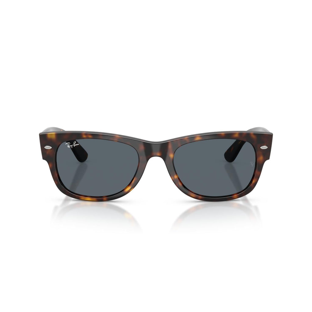 SUNGLASSES RAY-BAN MODEL 0832S COLOR 902/R5 FRONT VIEW