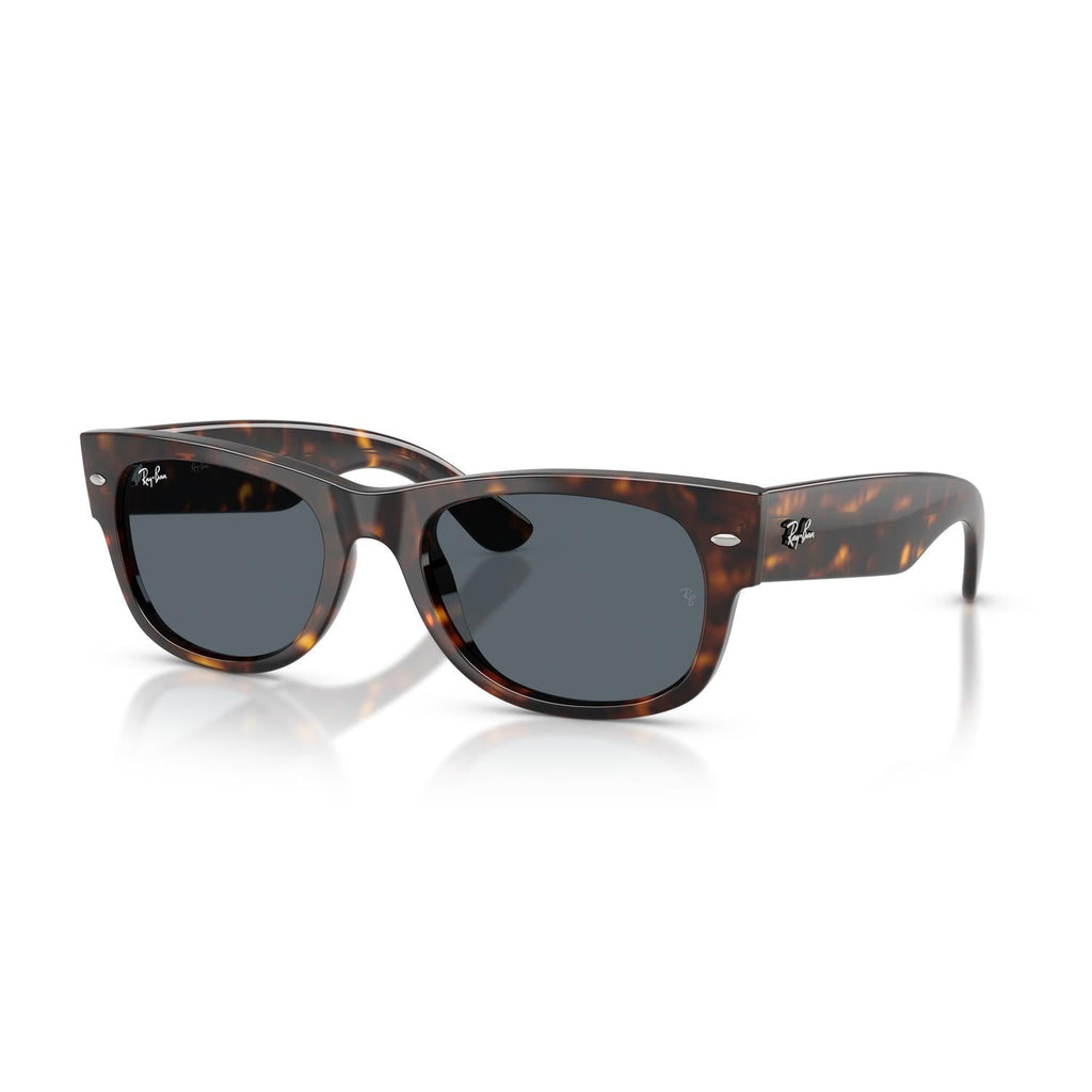 SUNGLASSES RAY-BAN MODEL 0832S COLOR 902/R5 ANGLED VIEW