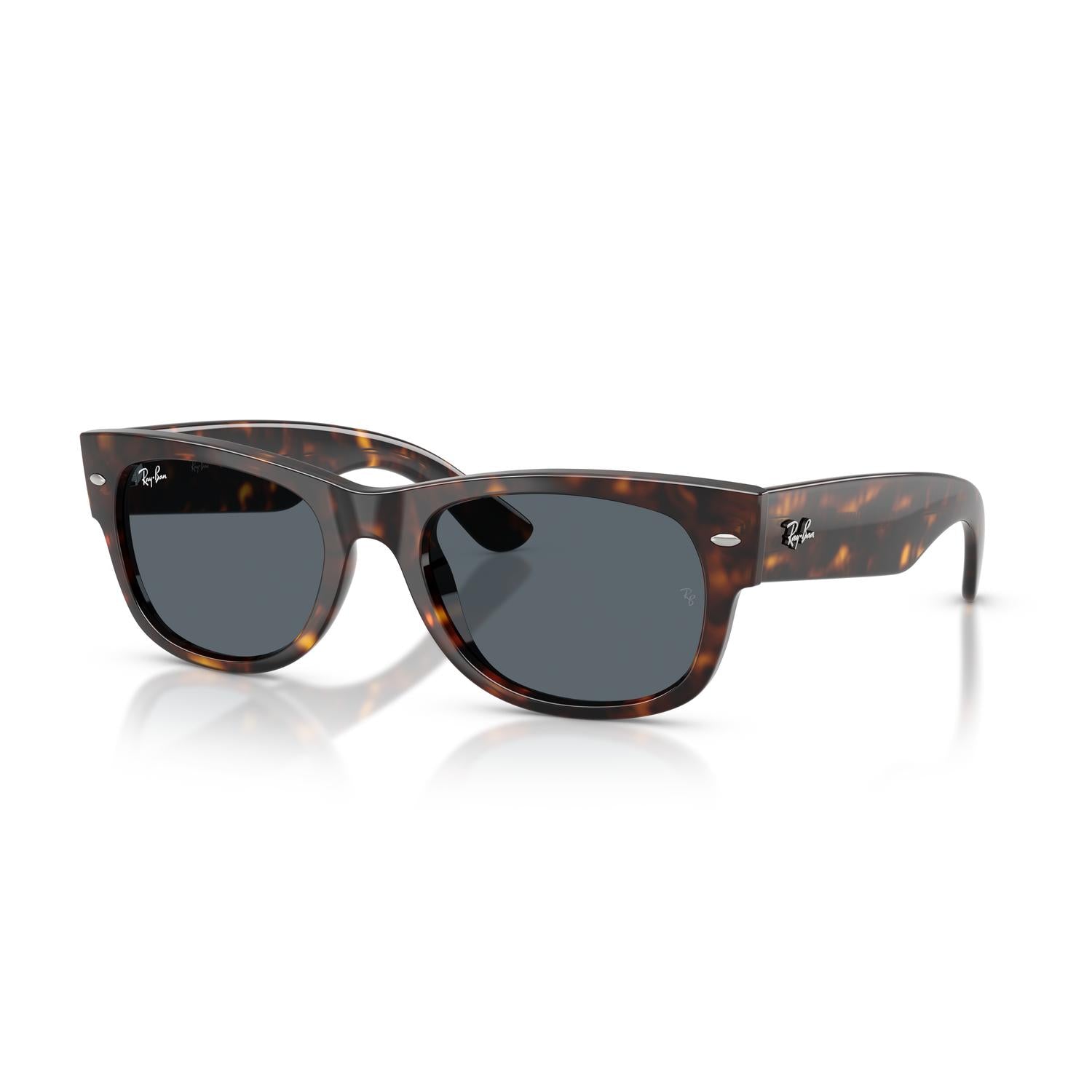 SUNGLASSES RAY-BAN MODEL 0832S COLOR 902/R5 ANGLED VIEW