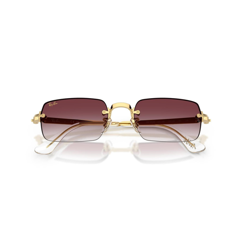 SUNGLASSES RAY-BAN MODEL 3928 COLOR 001/8H CLOSED VIEW
