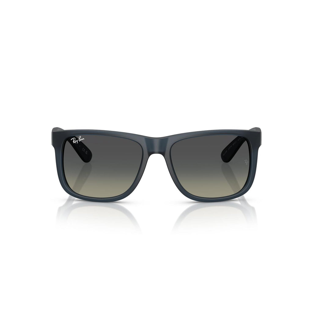 SUNGLASSES RAY-BAN MODEL 4165 COLOR 681311 FRONT VIEW
