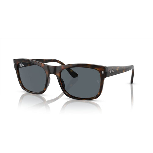 SUNGLASSES RAY-BAN MODEL 4428 COLOR 710/R5
