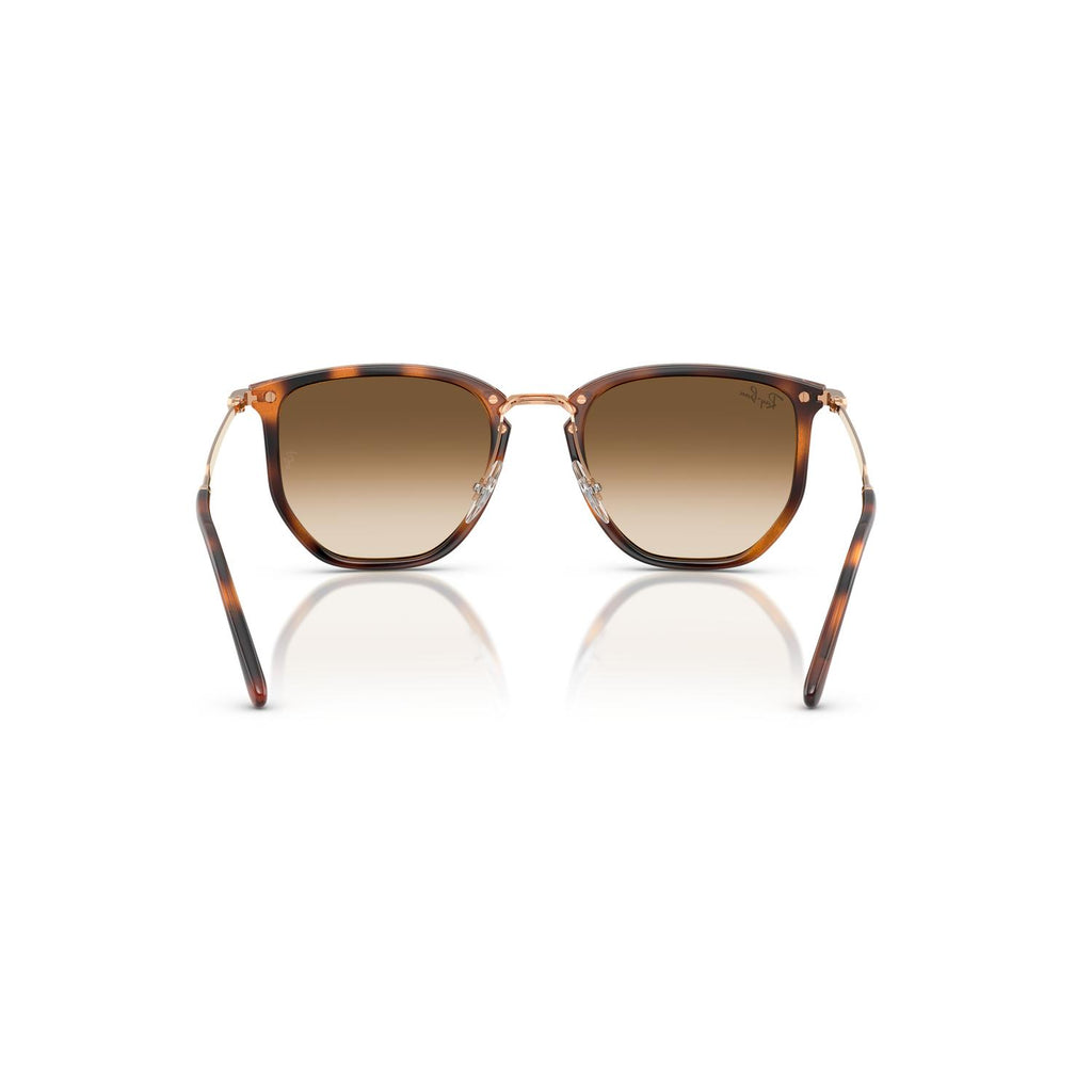 SUNGLASSES RAY-BAN MODEL 4451 COLOR 680451 BACK VIEW