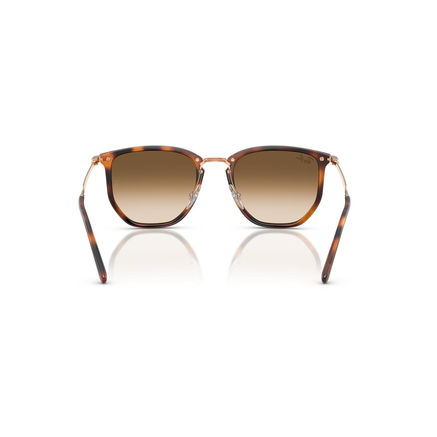 SUNGLASSES RAY-BAN MODEL 4451 COLOR 680451 BACK VIEW