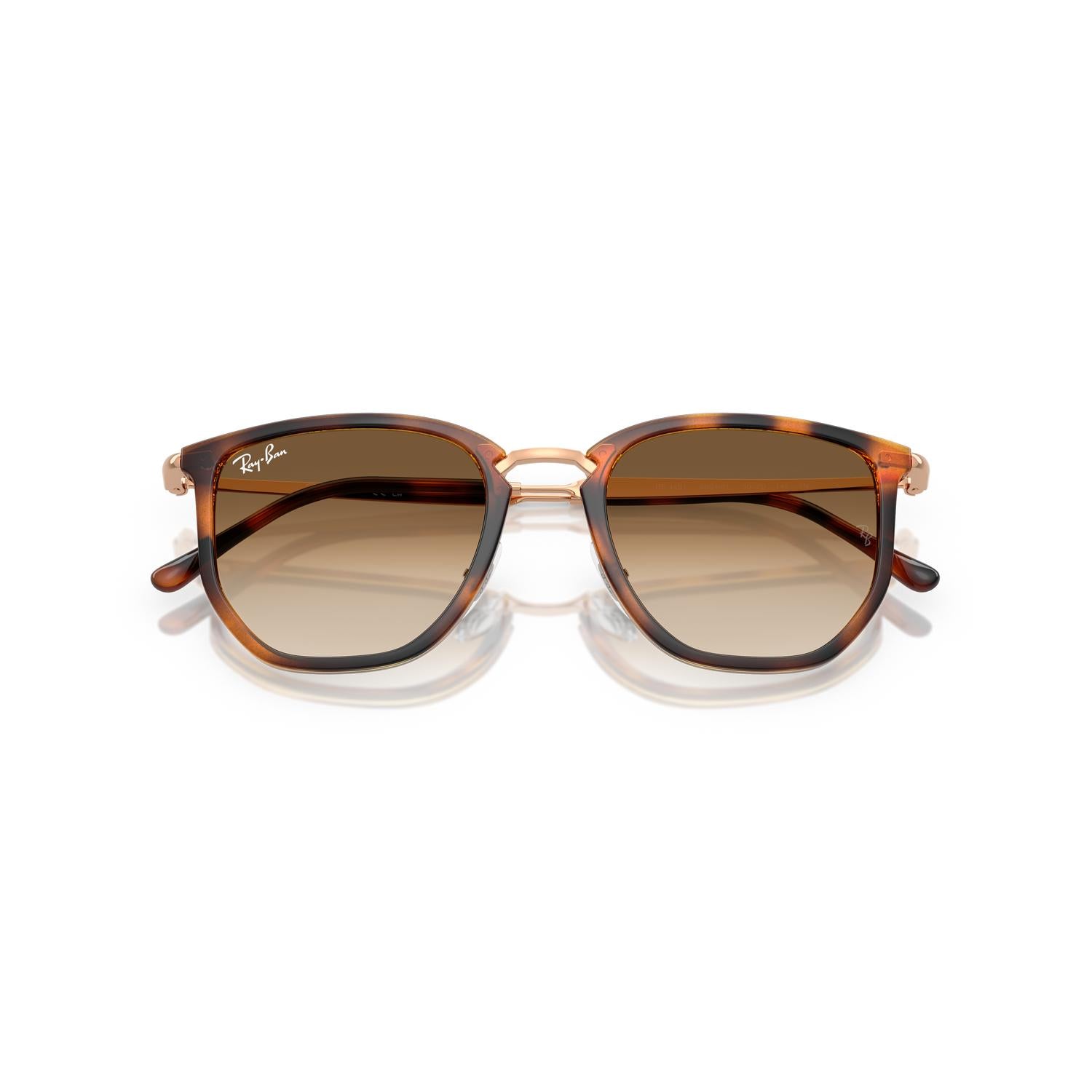 SUNGLASSES RAY-BAN MODEL 4451 COLOR 680451 CLOSED VIEW