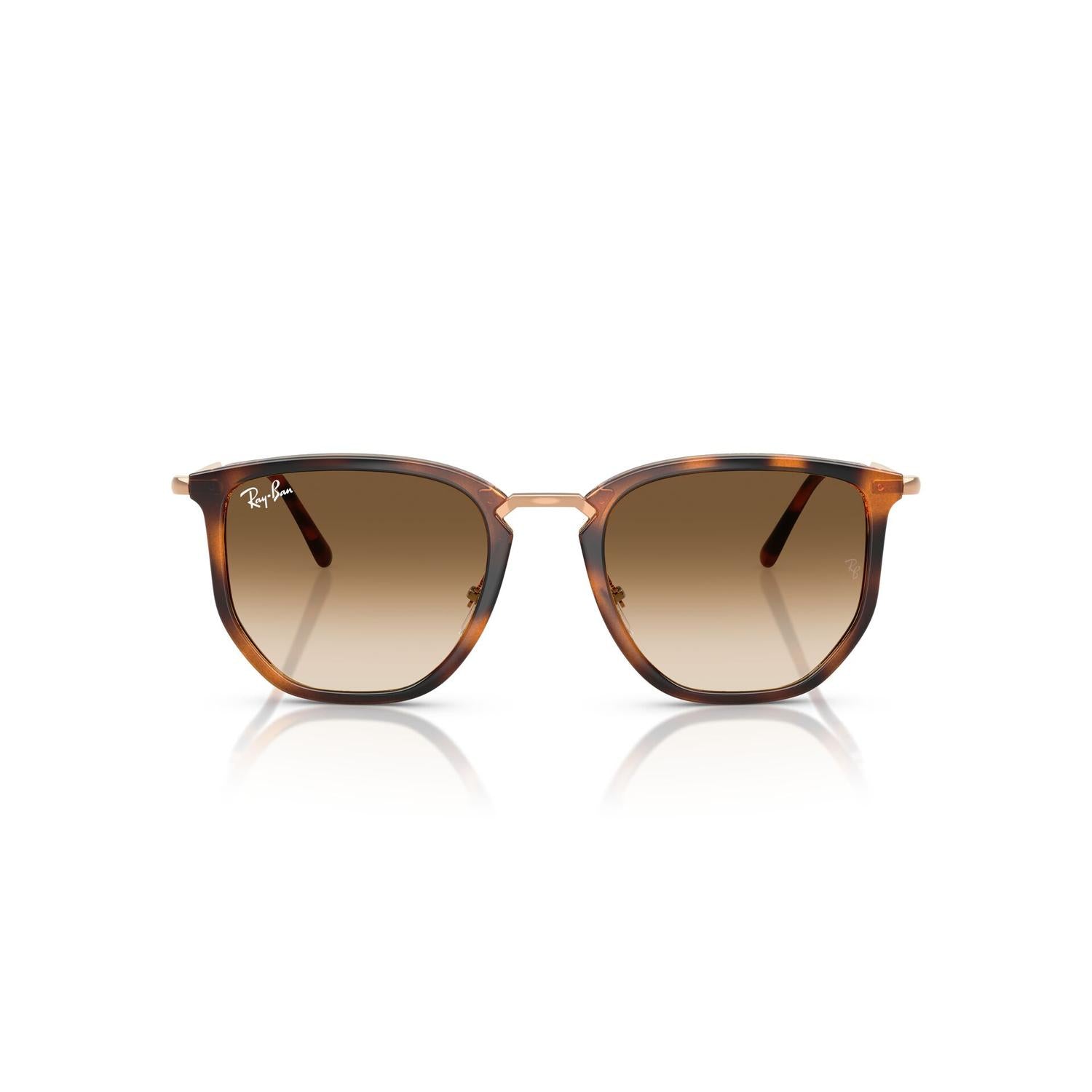 SUNGLASSES RAY-BAN MODEL 4451 COLOR 680451 FRONT VIEW