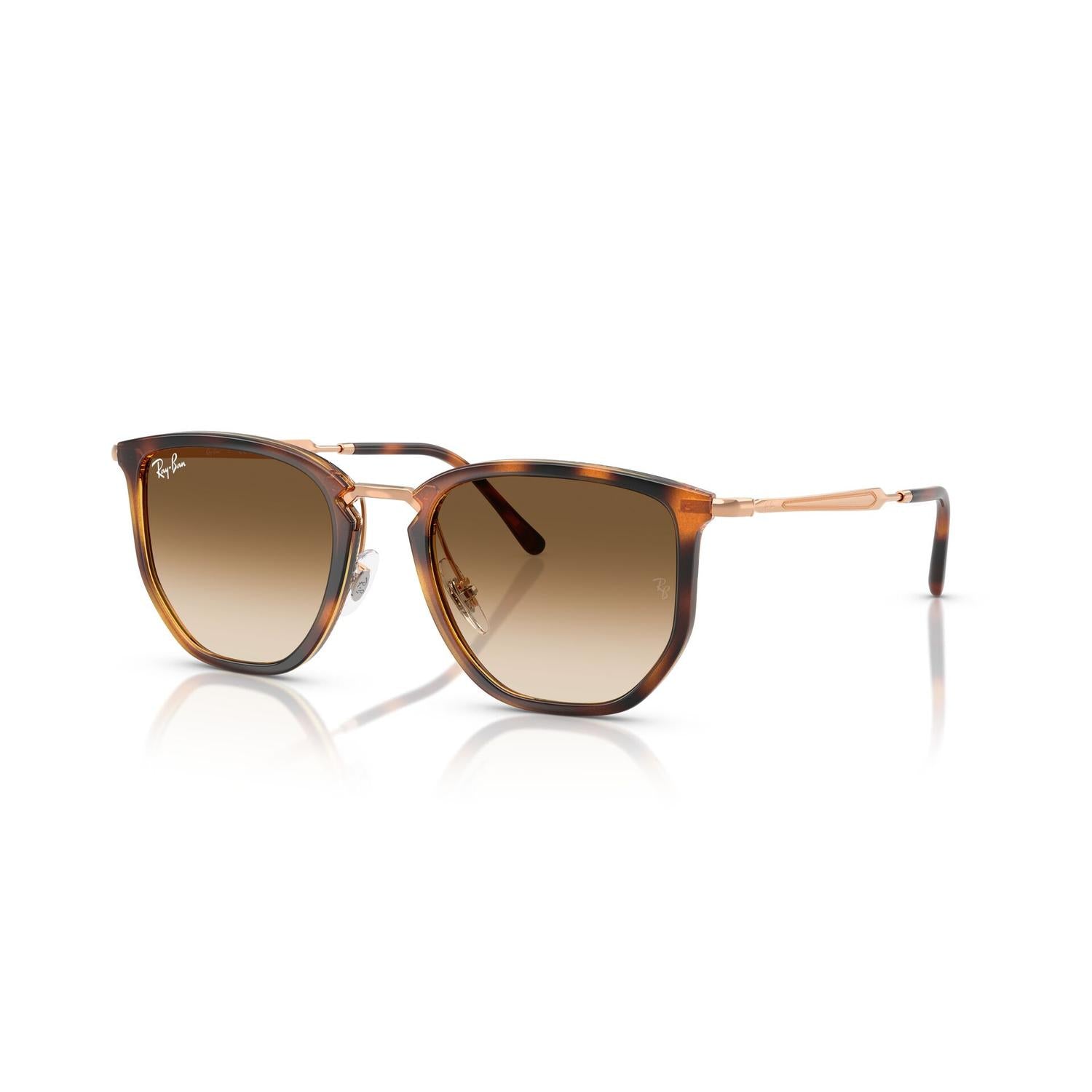 SUNGLASSES RAY-BAN MODEL 4451 COLOR 680451 ANGLED VIEW