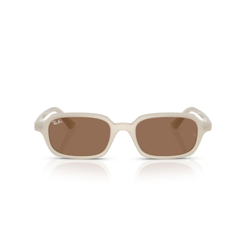 SUNGLASSES RAY-BAN MODEL 4455 COLOR 680873 FRONT VIEW