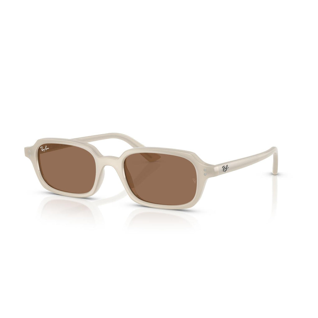 SUNGLASSES RAY-BAN MODEL 4455 COLOR 680873 ANGLED VIEW