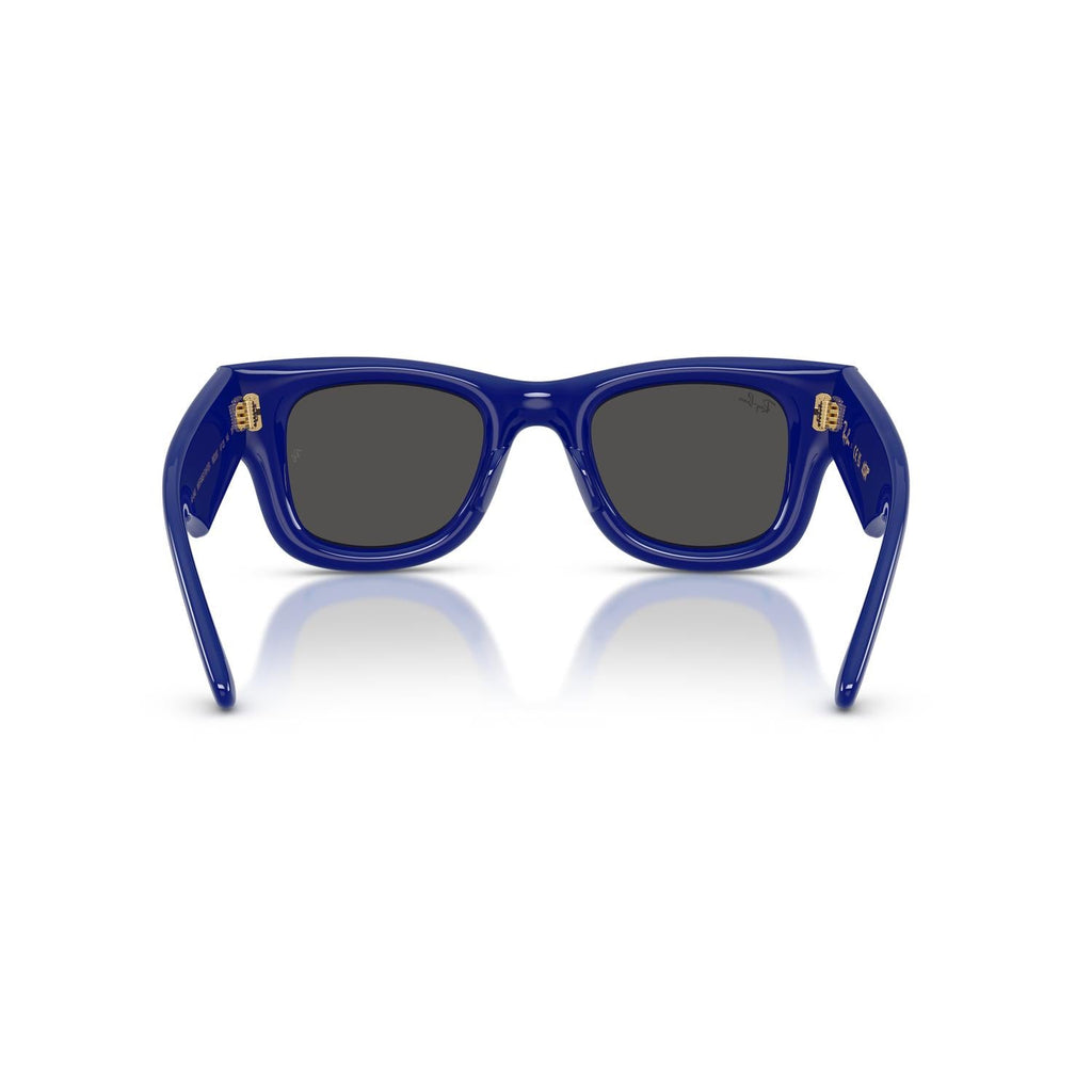 SUNGLASSES RAY-BAN MODEL 4940 COLOR 683387 BACK VIEW