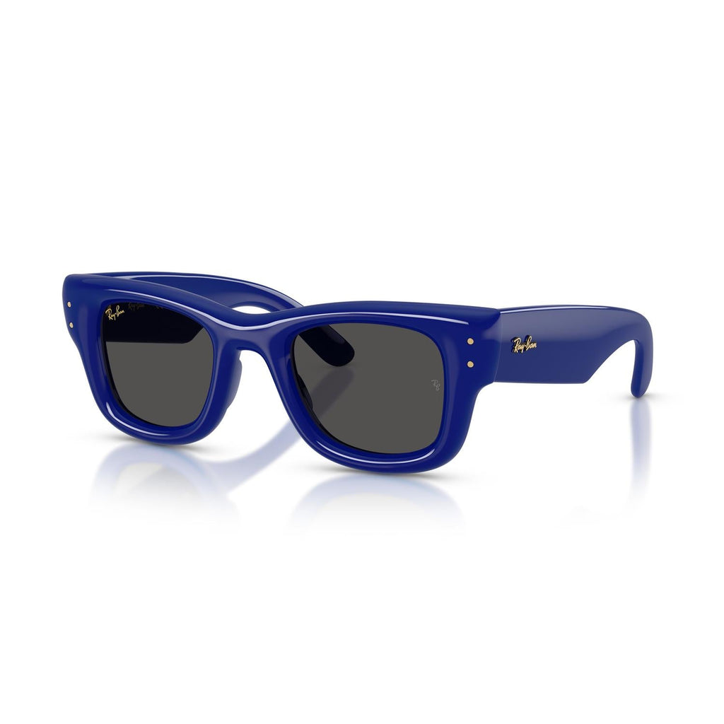 SUNGLASSES RAY-BAN MODEL 4940 COLOR 683387 ANGLED VIEW
