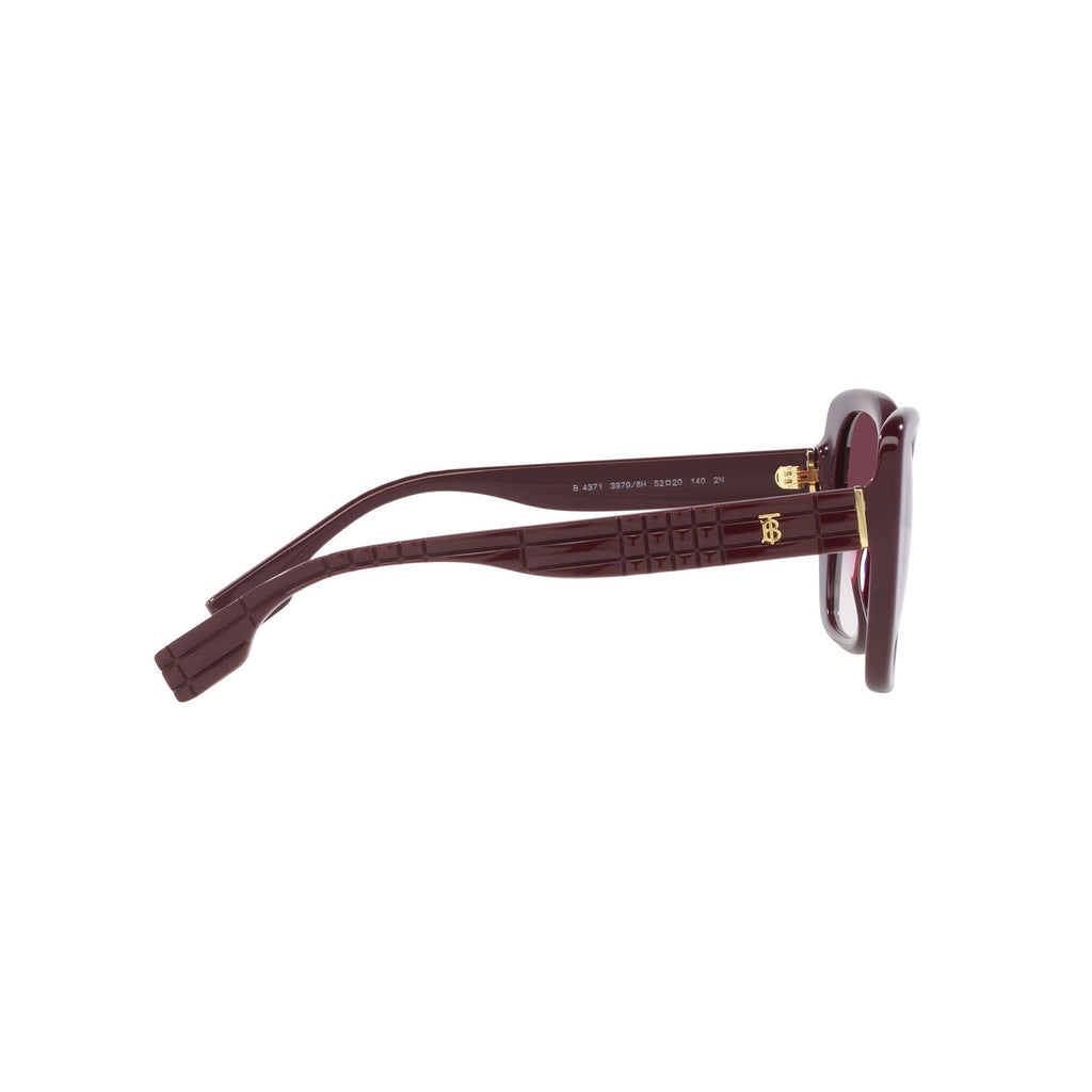 BURBERRY4371_3979_8H