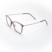 Load image into Gallery viewer, Glasses DUTZ model DT 006 color 65

