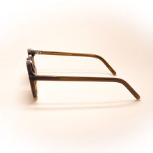 Load image into Gallery viewer, SUNGLASSES MONOKEL MODEL NELSON COLOR COLA
